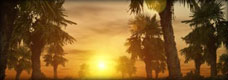 Image for highlight 1